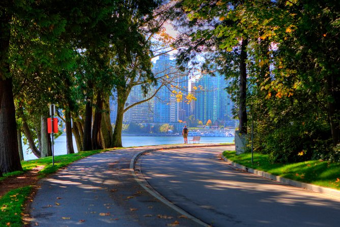 Best of Vancouver Private Tour - Stanley Park and Brockton Point Totems: The Harbour Views That Set the Tone