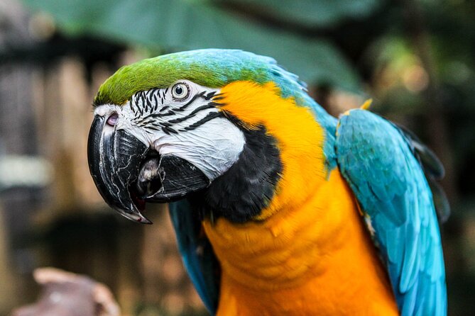 Bloedel Conservatory Admission Ticket - Bloedel Conservatory: A tropical dome that beats Vancouver weather