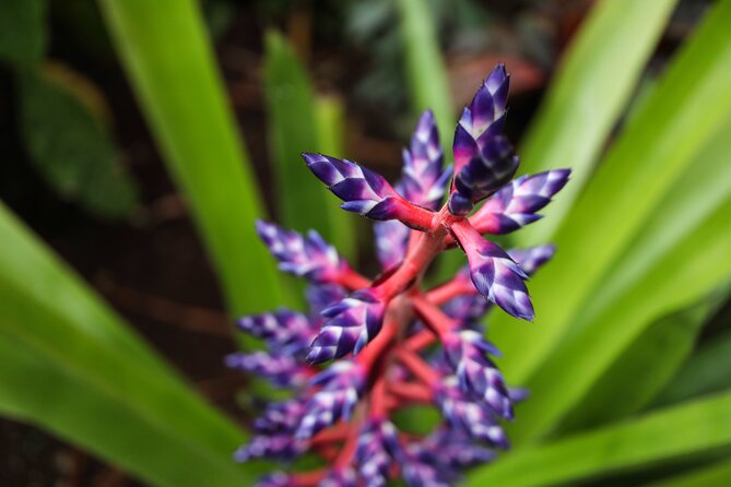 Bloedel Conservatory Admission Ticket - Opening hours by season: plan around closing times