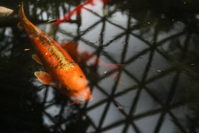 Bloedel Conservatory Admission Ticket - Price and value: $7.49 for one visit, not a full-day event