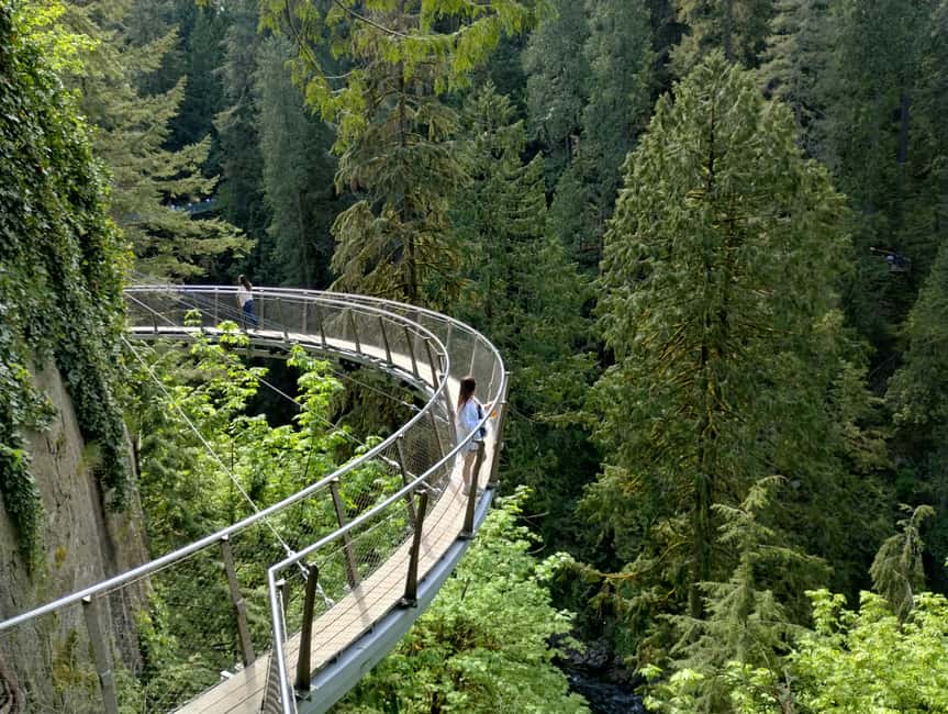 Capilano Br+Grouse Mtn+Dam+Lake&Hatcher/5in1/Small Group/Car - Key highlights at a glance