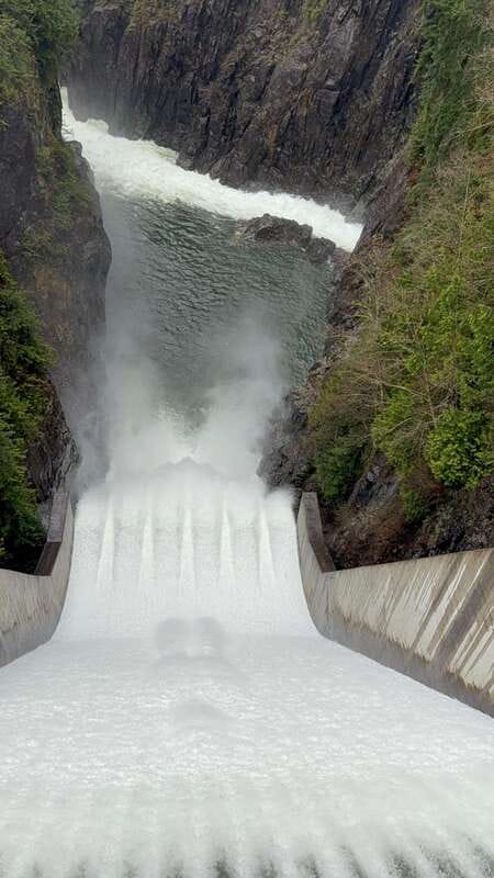 Capilano Br+Grouse Mtn+Dam+Lake&Hatcher/5in1/Small Group/Car - Capilano Suspension Bridge Park: the rainforest canyon, treetops, and Indigenous stories