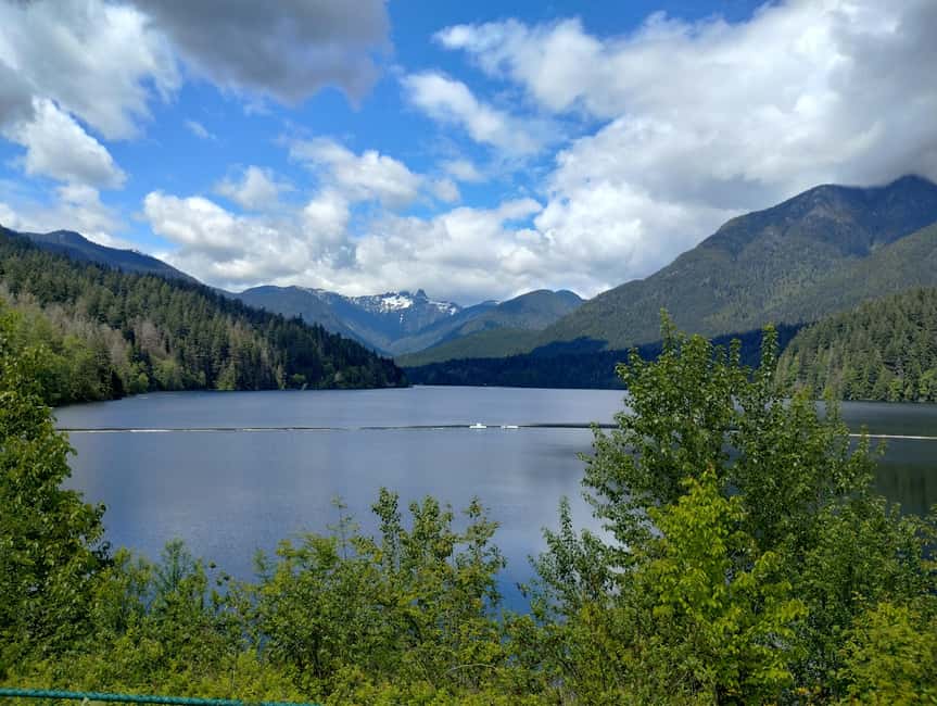 Capilano Br+Grouse Mtn+Dam+Lake&Hatcher/5in1/Small Group/Car - Grouse Mountain: grizzlies, shows, and included chairlift area
