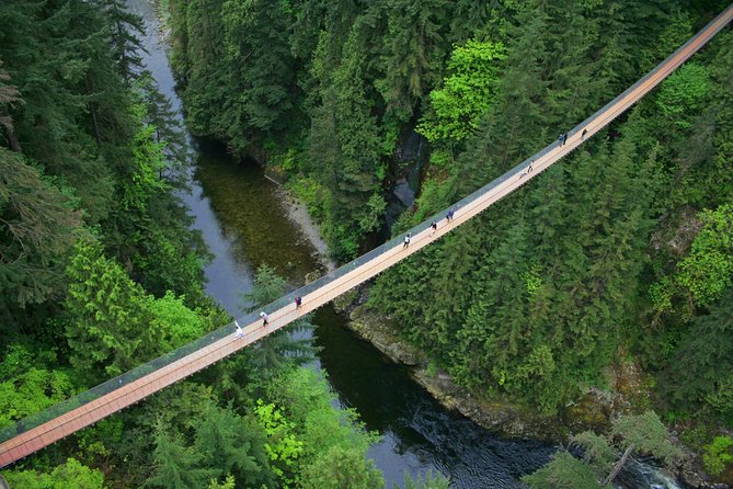 Capilano Suspension Bridge + Grouse Mountain Tour - Grouse Mountain Skyride: gondola views plus the grizzly bears