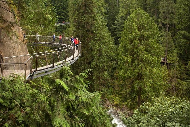 Capilano Suspension Bridge + Grouse Mountain Tour - Guides make the van ride matter: humor, local stories, and smooth regroups
