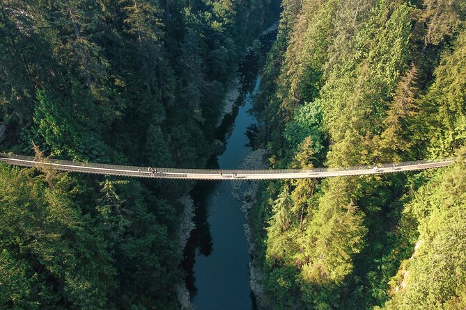 Capilano Suspension Bridge Park Ticket - Treetops Adventure: Seven Suspended Bridges in the Canopy