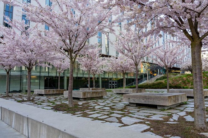 Explore Vancouver: Beaches & Downtown Audio Tour Bundle - Gastown Steam Clock, Robson Square, and Stanley Park’s Icons