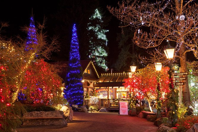 Explore Vancouver City & Capilano Suspension Bridge Canyon Lights - A half-day that fits real sightseeing schedules