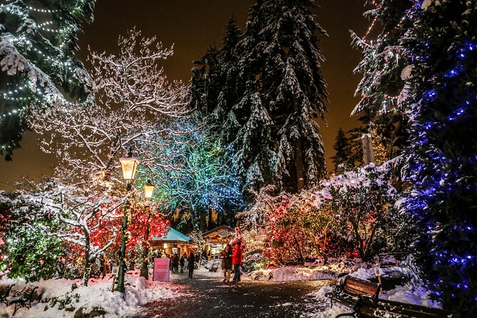 Explore Vancouver City & Capilano Suspension Bridge Canyon Lights - Capilano Canyon Lights: the main attraction and what to expect