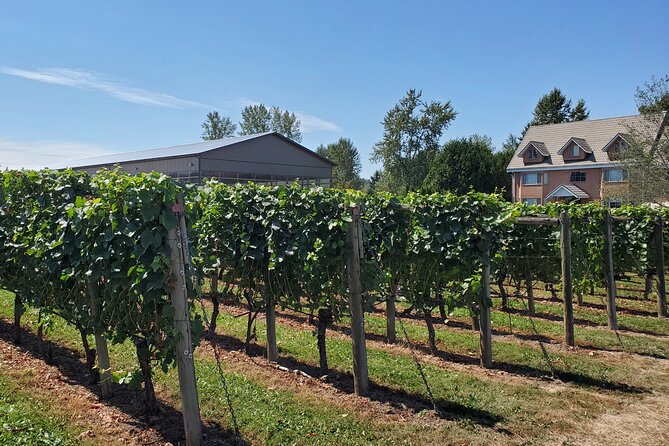 Fraser Valley Wine Tour from Vancouver with a Light Lunch - Fraser Valley wine country, made doable from Vancouver
