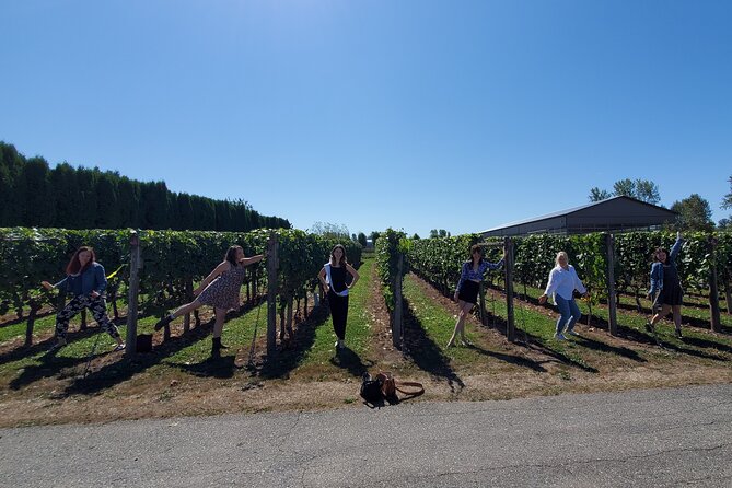 Fraser Valley Wine Tour from Vancouver with a Light Lunch - Transport, skip-the-lines, and small-group value