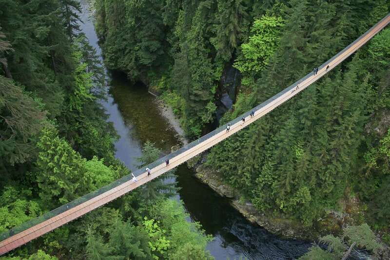 From Vancouver: Capilano Suspension Bridge & Grouse Mountain - Key highlights you’ll feel right away