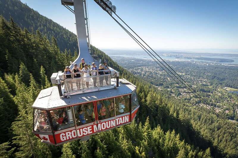 From Vancouver: Capilano Suspension Bridge & Grouse Mountain - Capilano River hatchery tour: salmon biology without the textbook feel
