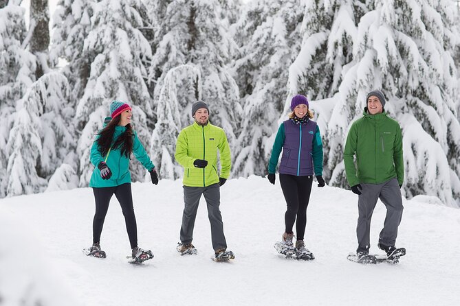 Grouse Mountain Admission Ticket - Peak Chairlift and Seasonal Trails: Picking One Extra Instead of Doing Everything