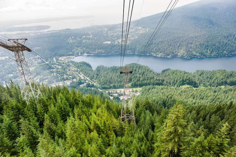 Grouse Mountain, Capilano Bridge & Fish Hatchery Tour - Key things that make this tour work