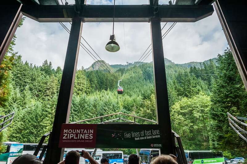Grouse Mountain, Capilano Bridge & Fish Hatchery Tour - A half-day sampler of Vancouver’s wild side and salmon science