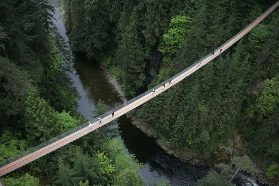 Grouse Mountain, Capilano Bridge & Fish Hatchery Tour - Grouse Mountain by gondola: views, bears, and included shows