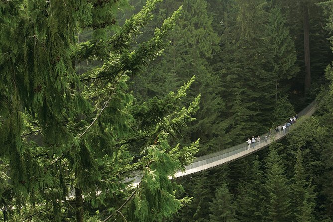 Grouse Mountain & Capilano Bridge Tour with Fish Hatchery - Getting to the tour: Canada Place start time and pickup rhythm