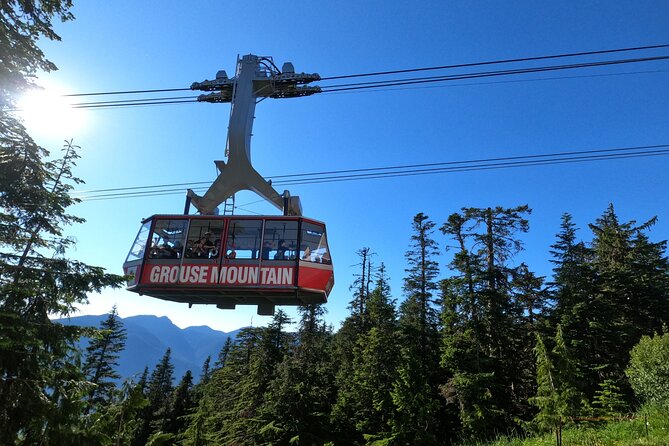 Grouse Mtn Stanley Park Hatchery Cleveland Dam Lynn Canyon Tour - Key highlights that make this tour worth your time