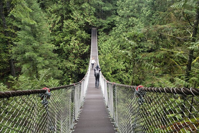 Photography in Rainforest & Suspension Bridge - A rainy-day photo plan that actually makes sense