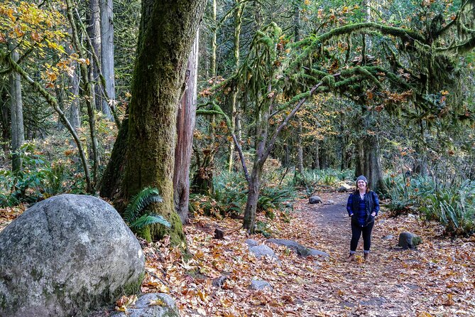 Photography in Rainforest & Suspension Bridge - Pickup and drop-off: less stress, more shooting time