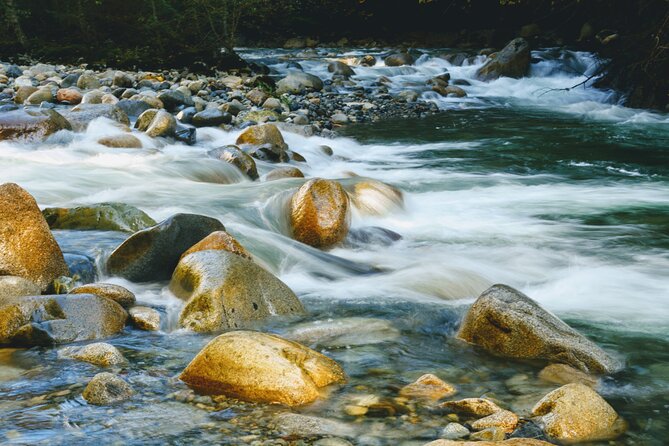 Photography in Rainforest & Suspension Bridge - The real value of $86.08 per person