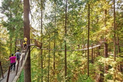 Post-Cruise Shore Excursion: Capilano Suspension Bridge & Grouse Mountain - Stop 1: Capilano Salmon Hatchery and the Pacific salmon cycle