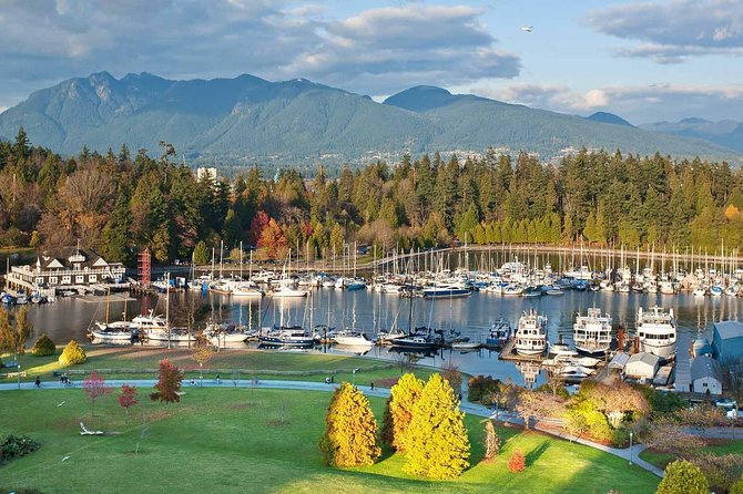 Private Tour: Vancouver Sightseeing and Capilano Suspension Bridge - Chinatown: food streets, old apothecaries, and lively browsing