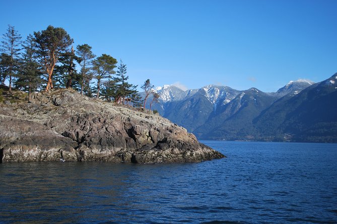 Scuba Dive Boat Charter in Vancouver (Certified Divers Only!) - Who should book this charter, and who might rethink it