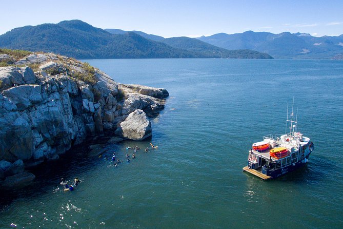 Scuba Dive Boat Charter in Vancouver (Certified Divers Only!) - Certified-only underwater time, plus the ride-along option