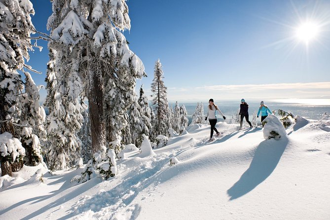 Small Group Tour: Capilano Suspension Bridge and Grouse Mountain from Vancouver - How the 5-Hour Tour Really Feels: Pickup, Routing, and Timing