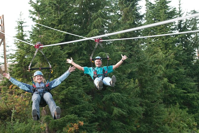 Small Group Tour: Capilano Suspension Bridge and Grouse Mountain from Vancouver - Who This Tour Fits Best in Vancouver