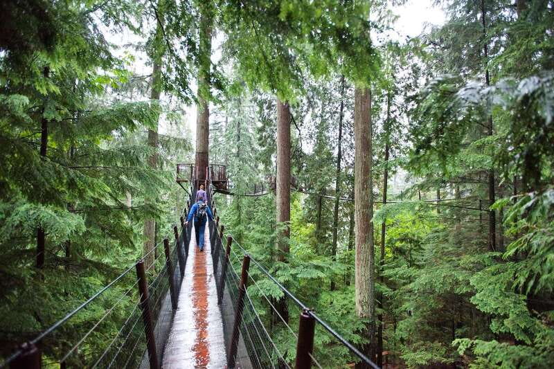 Small group tour of Capilano Bridge & Grouse Mountain - Grouse Mountain: animal shows plus 40+ ways to spend your time