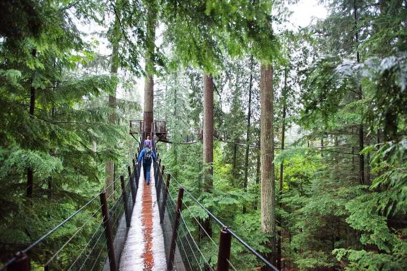 Small group tour of Capilano Bridge & Grouse Mountain - How long is enough? Timing in a 5-hour day