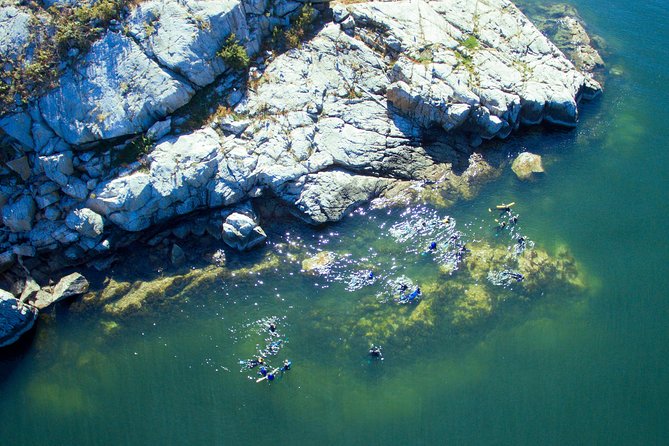 Snorkel, Kayak, and Seal Adventure: Vancouver Boat Tour - Getting to the tour: Horseshoe Bay check-in with a 12-person cap