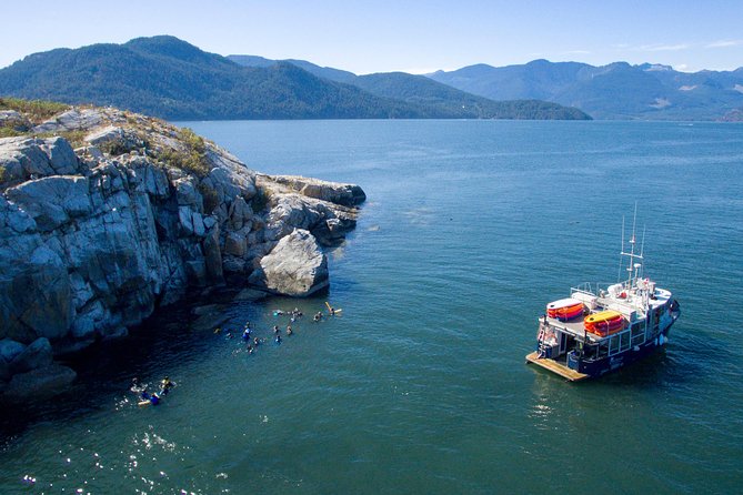 Snorkel, Kayak, and Seal Adventure: Vancouver Boat Tour - Pam Rocks harbor seals: watching real behavior at a respectful distance