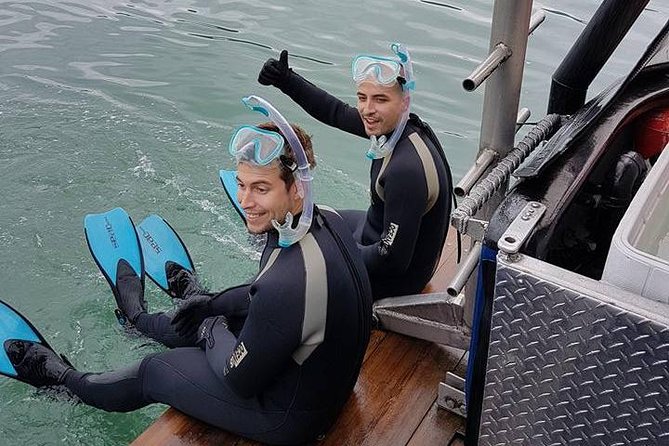 Snorkel, Kayak, and Seal Adventure: Vancouver Boat Tour - Snorkeling with seals: gear fits, guides pace you, and wetsuits actually help