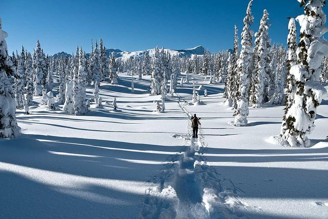 Snowshoe Through Vancouver's Winter Wonderland - Key highlights worth your attention