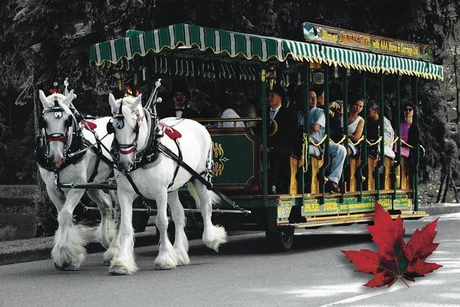 Stanley Park Horse Drawn Tour in Vancouver - Why a horse-drawn loop beats trying to see it all fast