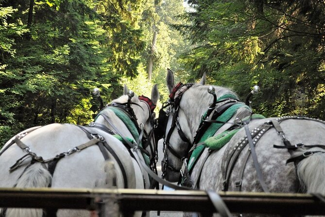 Stanley Park Horse Drawn Tour in Vancouver - Getting to the right place: 735 Stanley Park Dr meets Coal Harbour