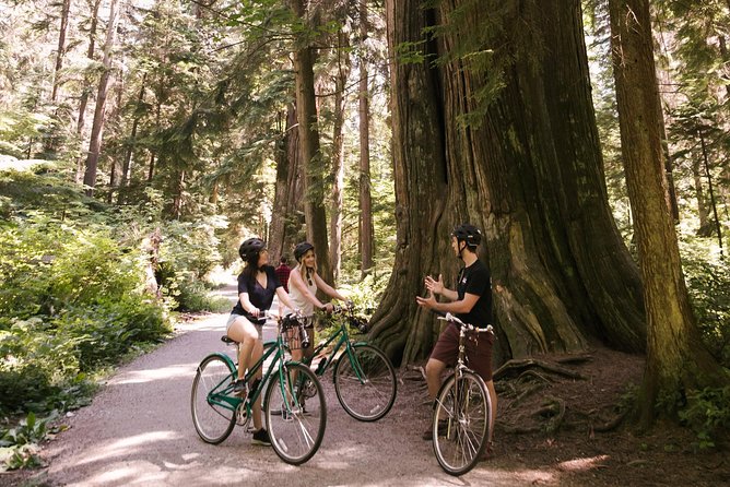 The Stanley Park Bicycle Tour by Cycle City Tours - Wildlife and photo stops: how to enjoy the moment without rushing