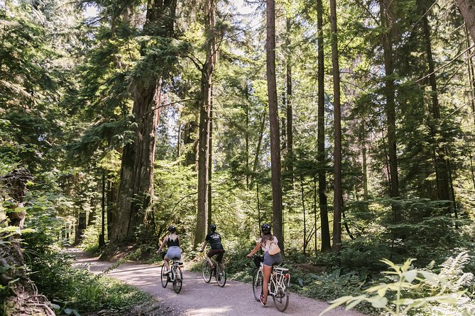 The Stanley Park Bicycle Tour by Cycle City Tours - What the small-group format gets you (and what it doesn’t)