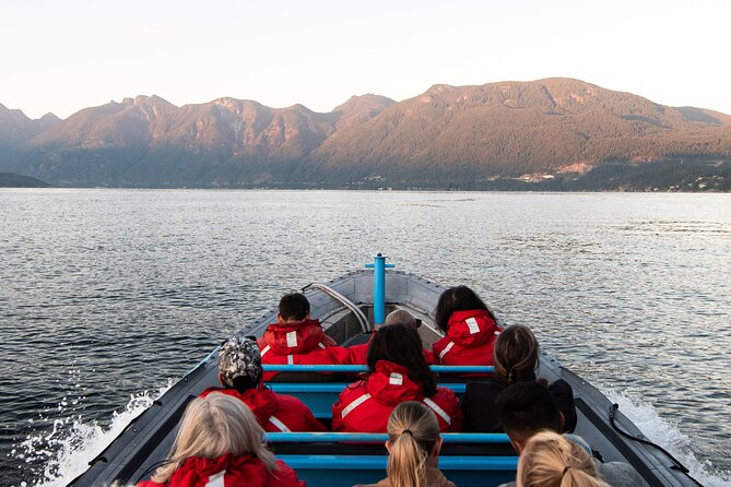 UNESCO Biosphere and Bowen Island Boat Tour with Island Visit - Wildlife and Photo Strategy: How to Get the Best Shots