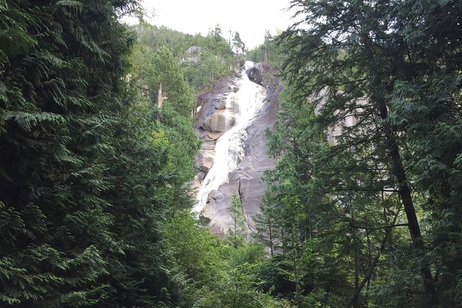 Unforgettable Whistler ( Full Day Private Tour) - Shannon Falls and Brandywine Falls: quick roadside magic with good photo timing
