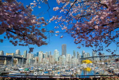 Vancouver: 24 or 48-Hour Hop-On Hop-Off Trolley Tour Pass - How the Pass Works With 19 Stops (and Why That Matters)