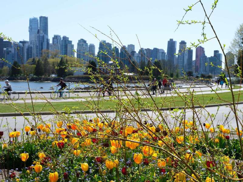 Vancouver: 24 or 48-Hour Hop-On Hop-Off Trolley Tour Pass - Timing in Real Life: Summer Convenience vs Off-Season Gaps