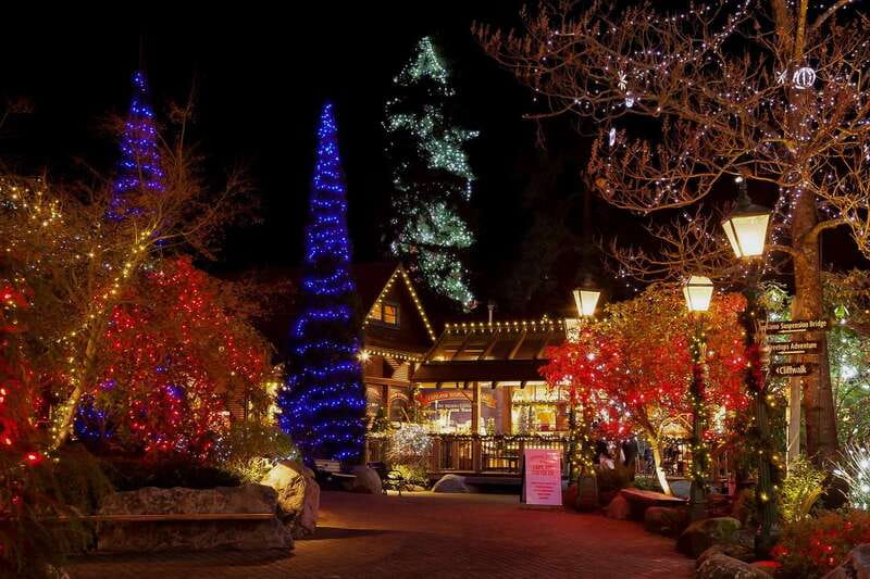 Vancouver and Capilano Suspension Bridge Canyon Lights - Key highlights that make this tour worth your time