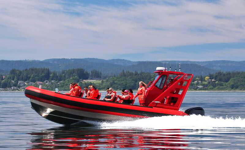 Vancouver, BC: Whale Watching Tour Small Zodiac with Guide - Who should book, and who should sit this one out