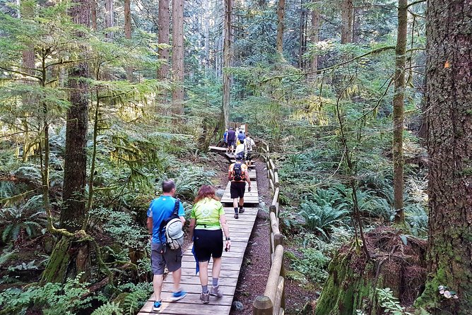 Vancouver Biking and Hiking Tour including Lunch - Logistics that actually help: pickup, private bus, and a timed day