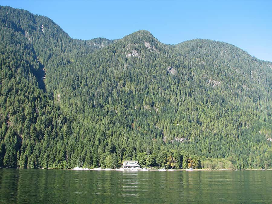 Vancouver Brunch Cruise - Quick reasons to go
